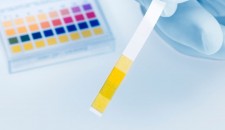 中全食品常規檢測